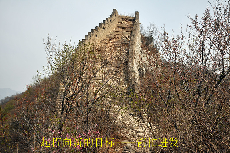 dsc_0206_.jpg