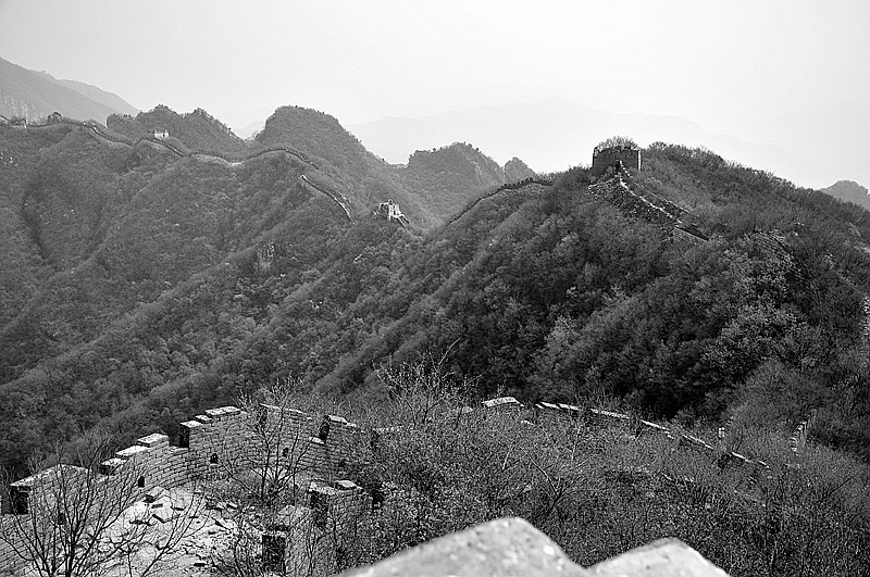 dsc_0229_.jpg