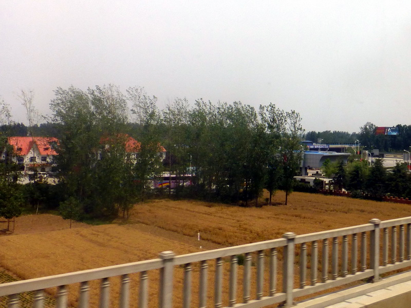p1210413.jpg