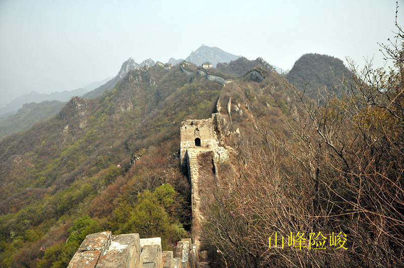 dsc_0250_.jpg