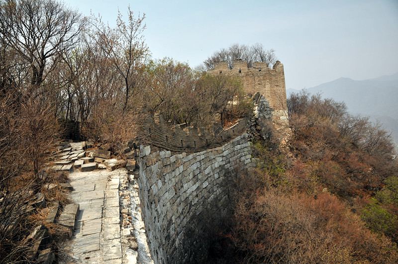 dsc_0248_.jpg