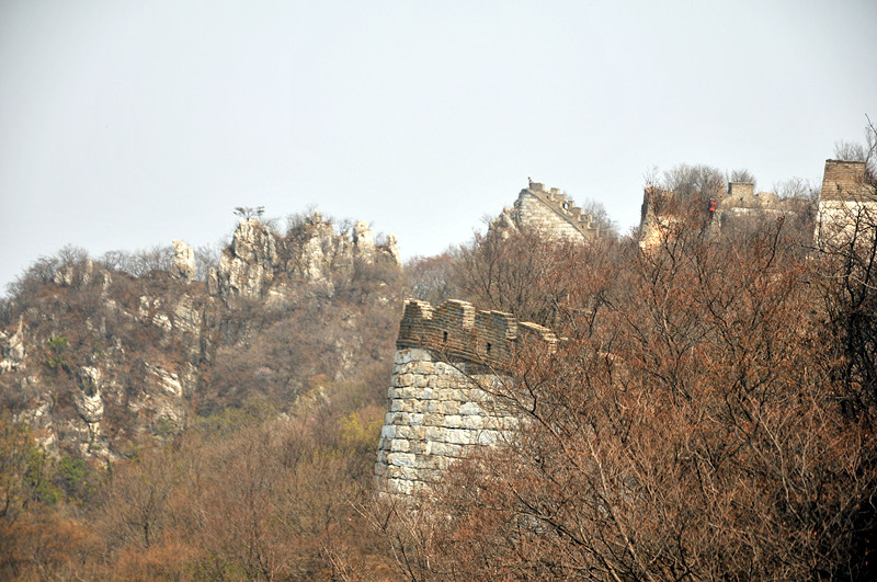 dsc_0259_.jpg