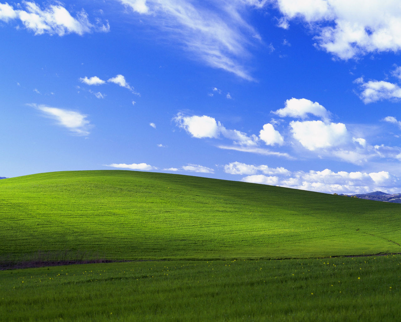a8ec8a13632762d06c3100f9a0ec08fa513dc66d.jpg