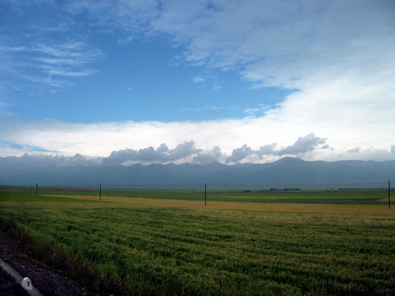 dscf0937.jpg