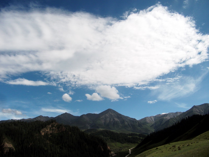 dscf0949.jpg