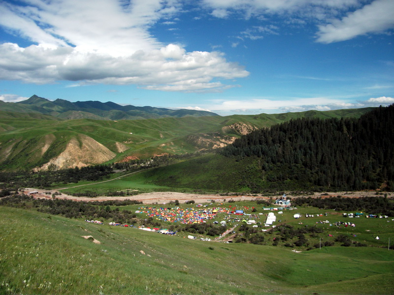 dscf0950.jpg