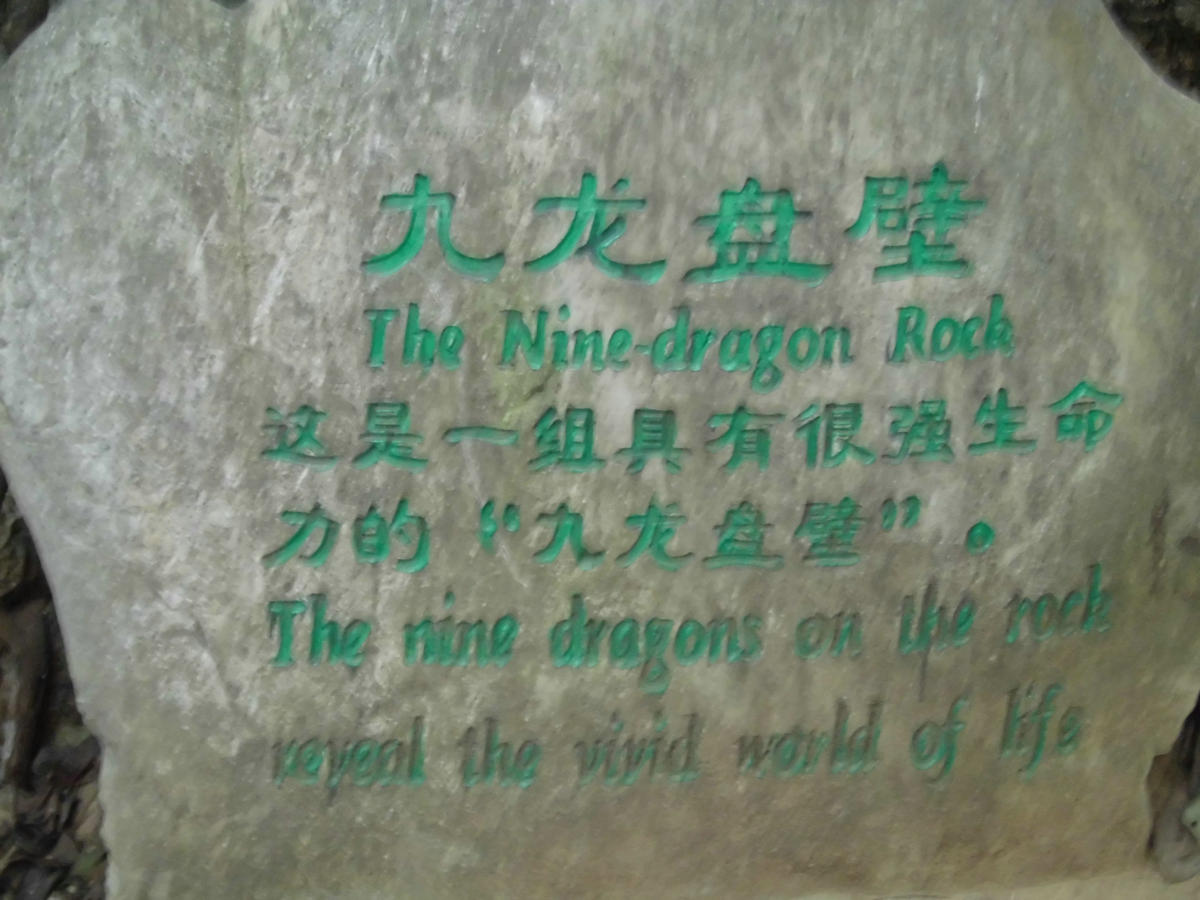 cimg1330_1.jpg