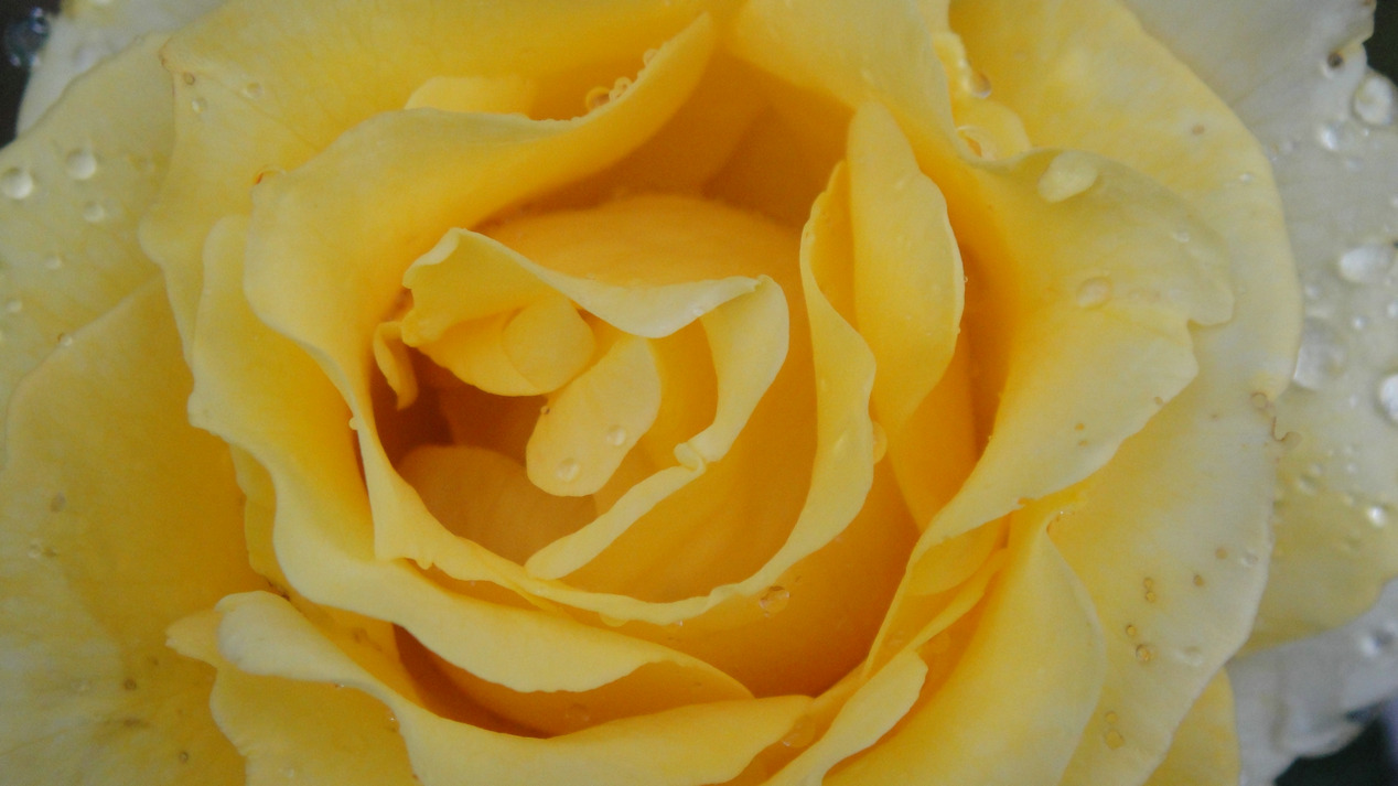 dsc05743.jpg