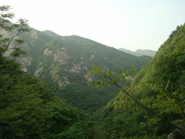qqͼƬ20140430214301.jpg