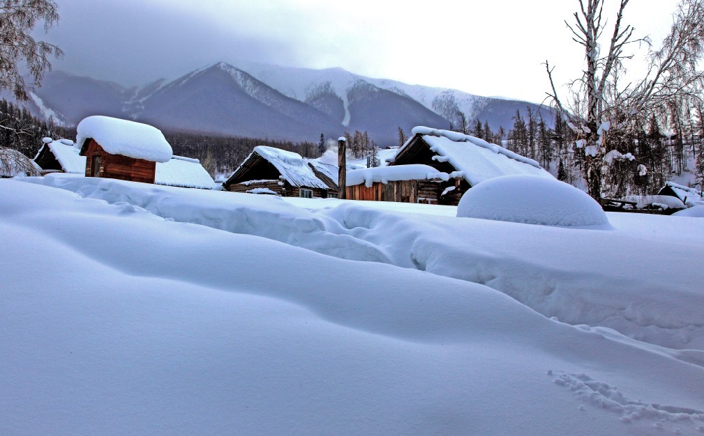 dsc_2026.jpg