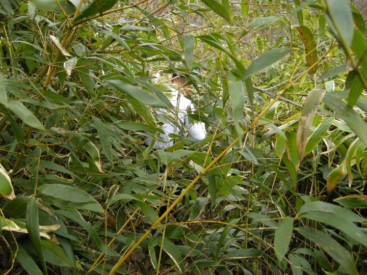 154300rx2123np25pxzrdq.jpg
