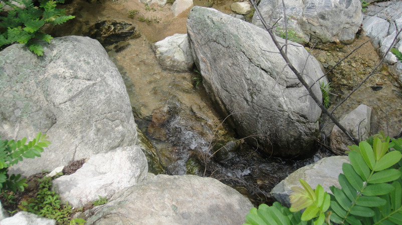 dsc05342.jpg