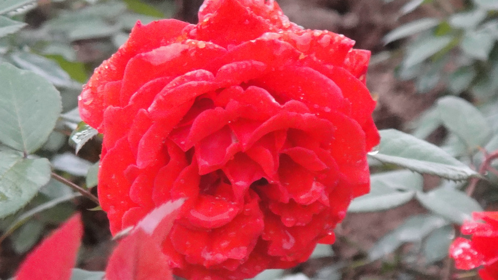 dsc05846.jpg