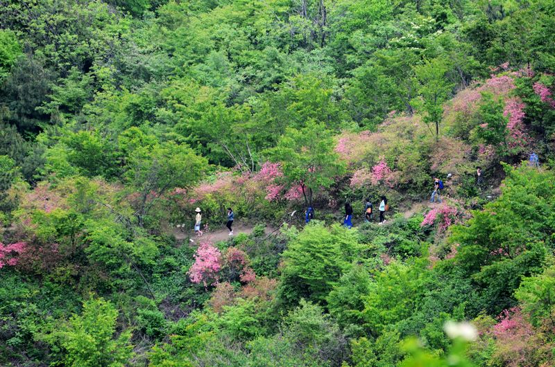 dsc_0290.jpg