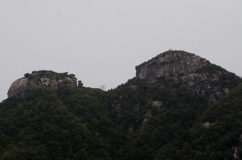 dsc_0294.jpg