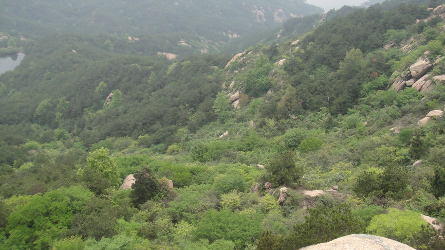 dsc04730.jpg