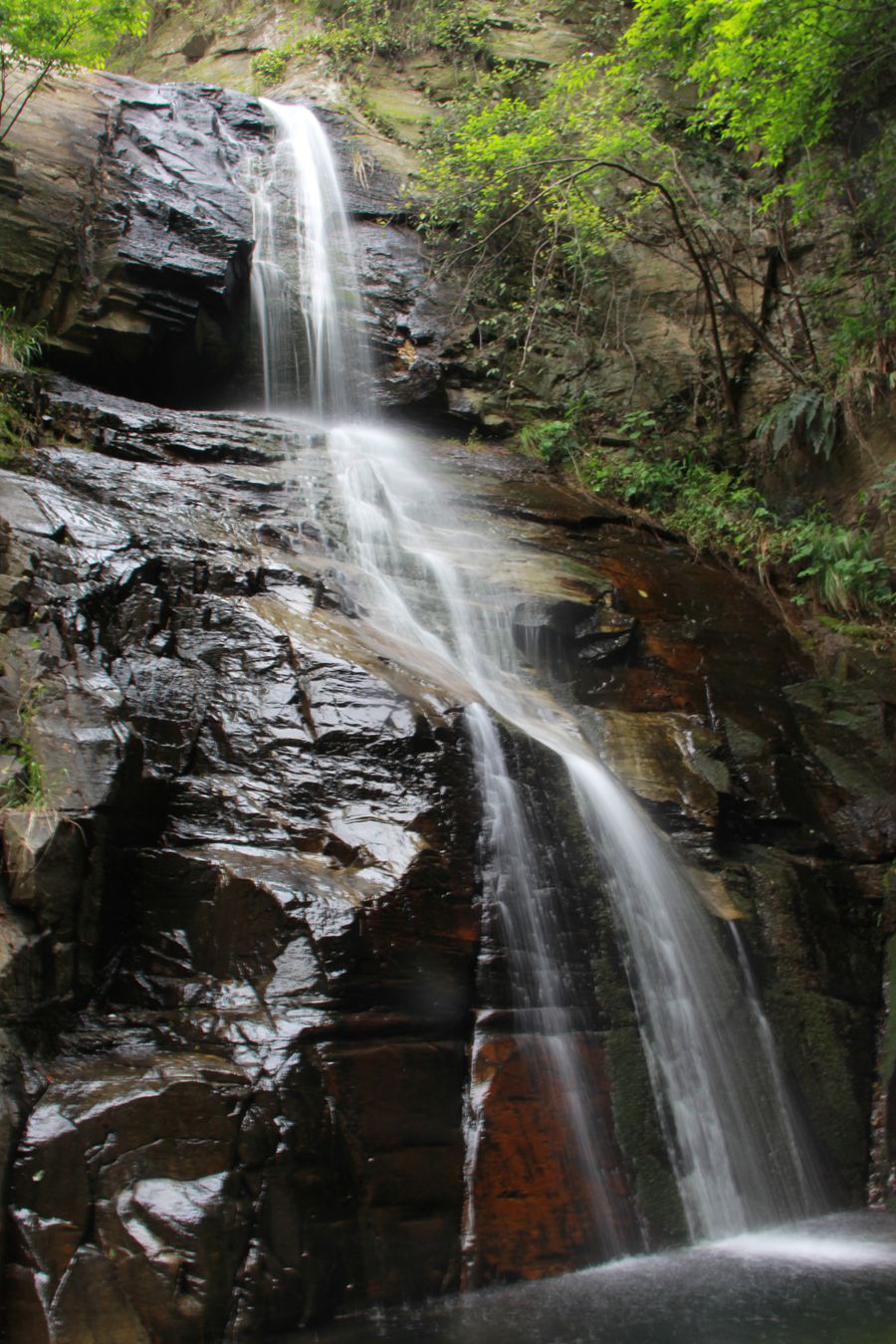 img_0804.jpg