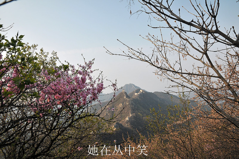 dsc_9971_.jpg