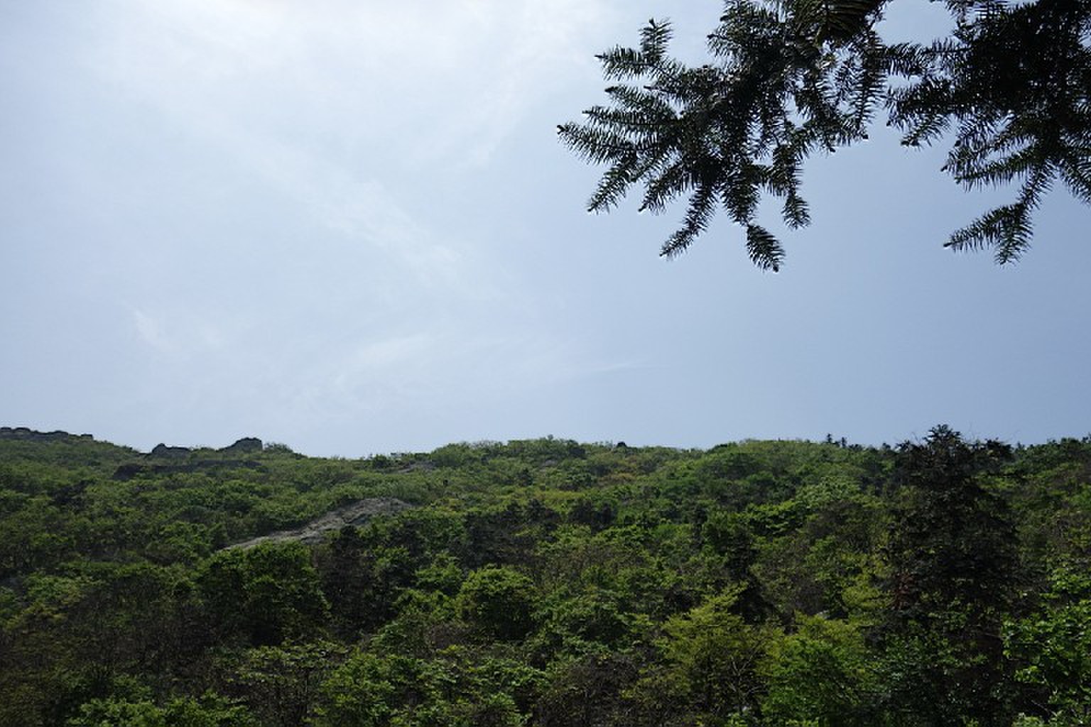 s-027.jpg