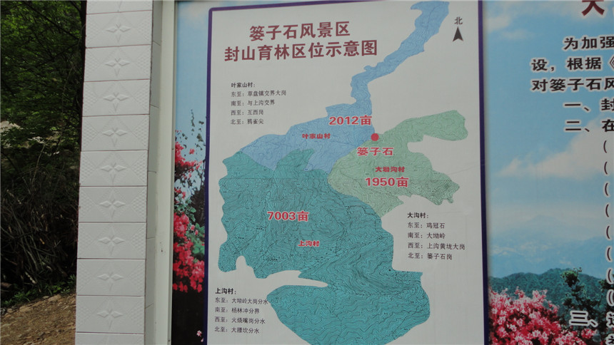 dsc07555.jpg