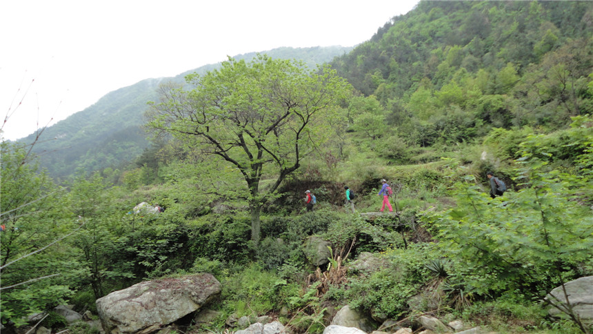 dsc07560.jpg