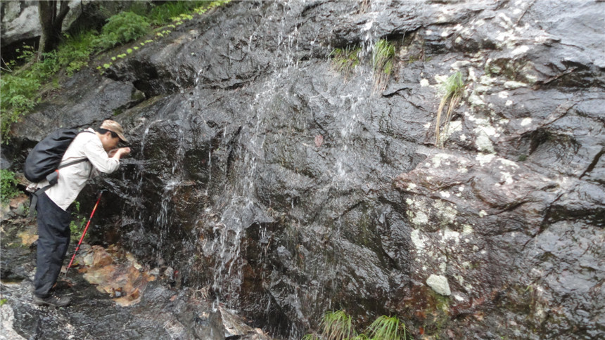 dsc07620.jpg
