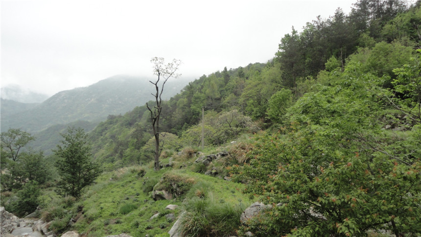 dsc07626.jpg