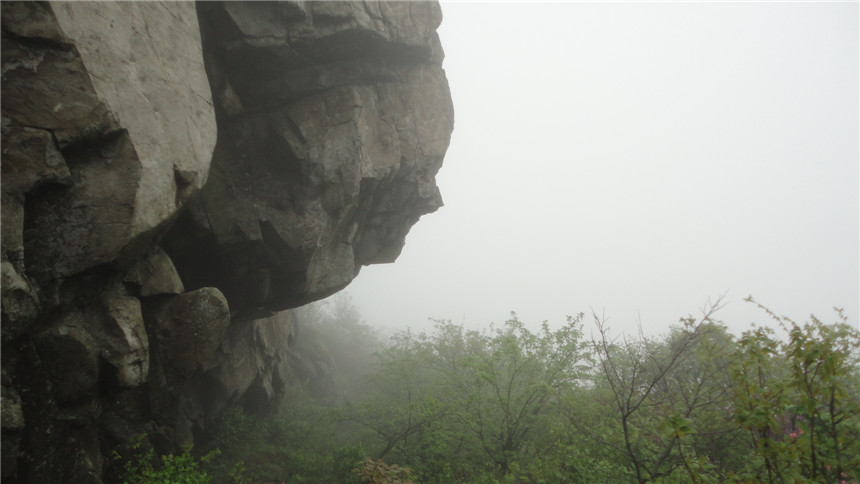 dsc07524.jpg