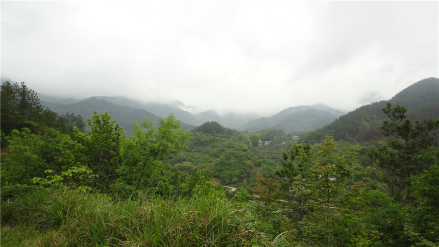 dsc07637.jpg
