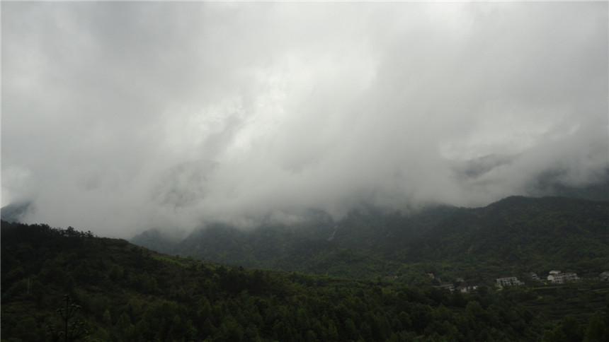 dsc07638.jpg