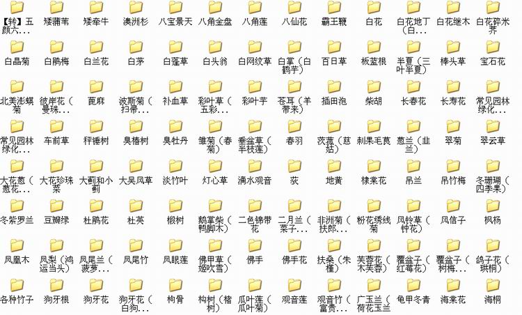 001.jpg