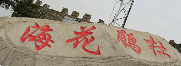 img_6610.jpg