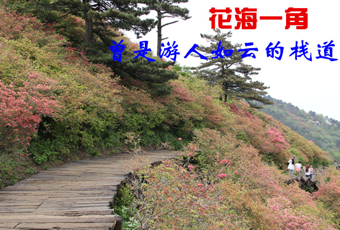 img_6637.jpg