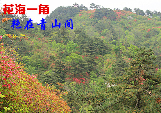 img_6639.jpg