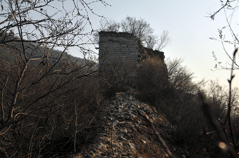 dsc_9982_.jpg