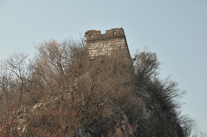 dsc_9992_.jpg