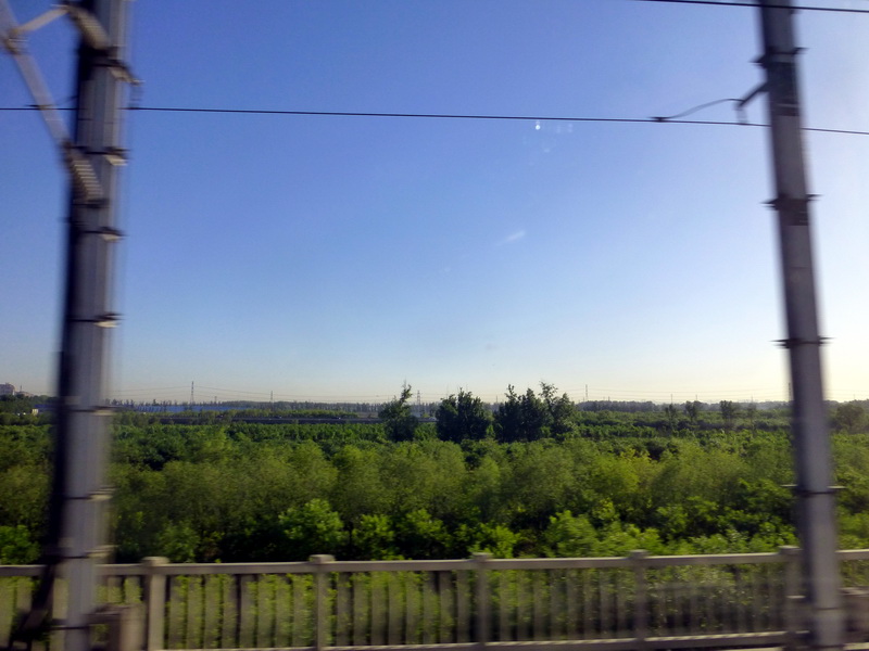p1210817.jpg