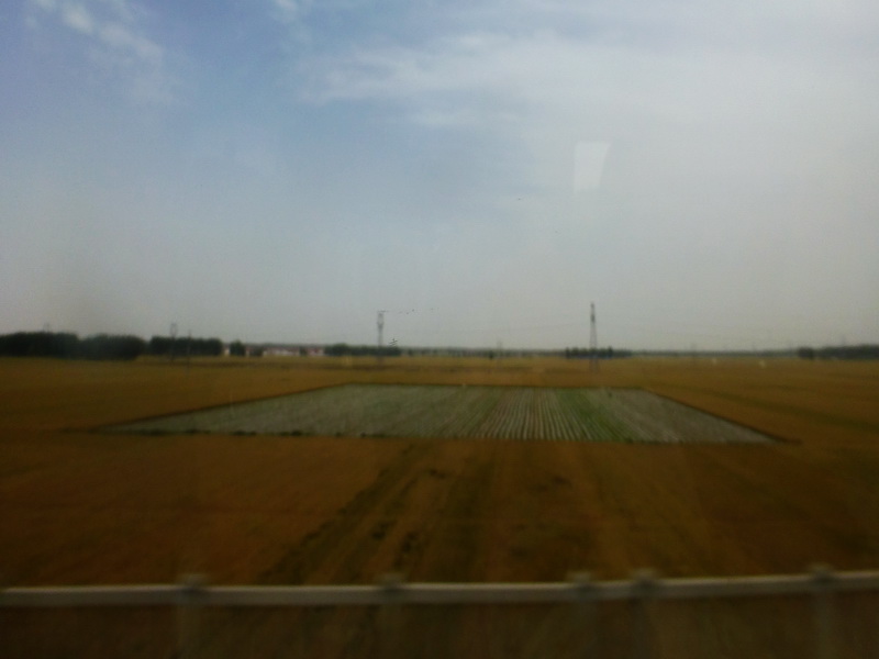 p1210841.jpg