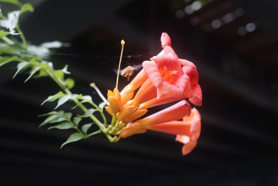 qqͼƬ20140610154018.jpg