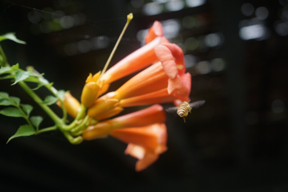 qqͼƬ20140610154047.jpg