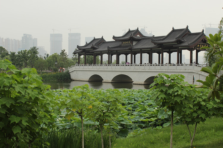 2014Ⱥ 344_.jpg