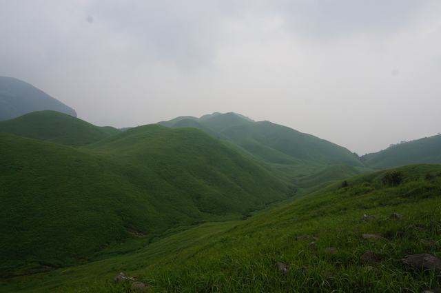 dsc05932.jpg