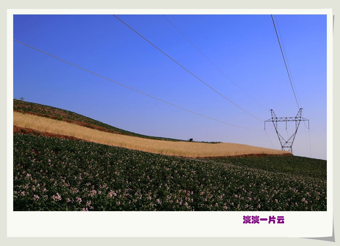 neo_img_dsc_5118.jpg