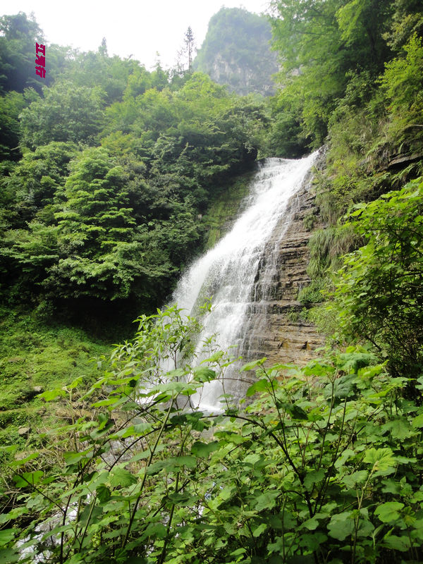 dsc02225.jpg