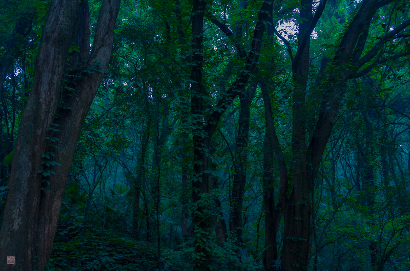 l1004950.jpg