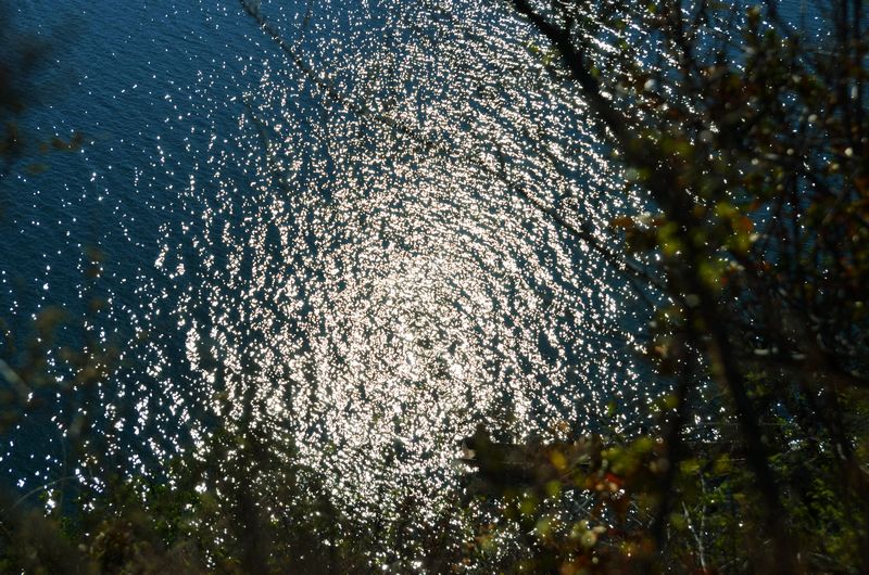 dsc_7028.jpg