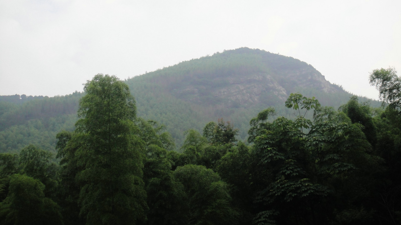 dsc07610.jpg