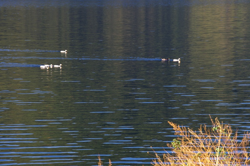imgp8129aa.jpg