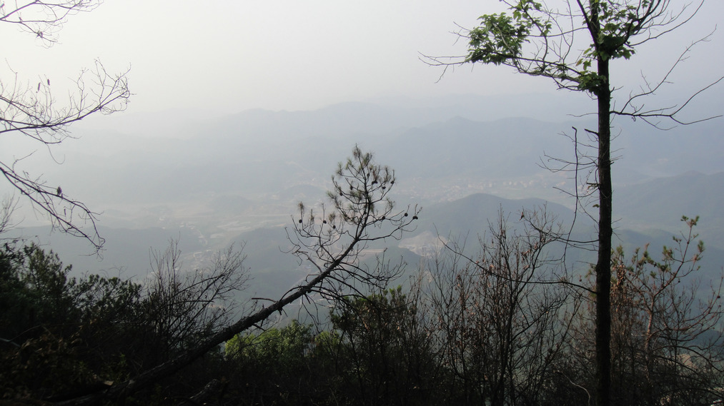 dsc08044.jpg