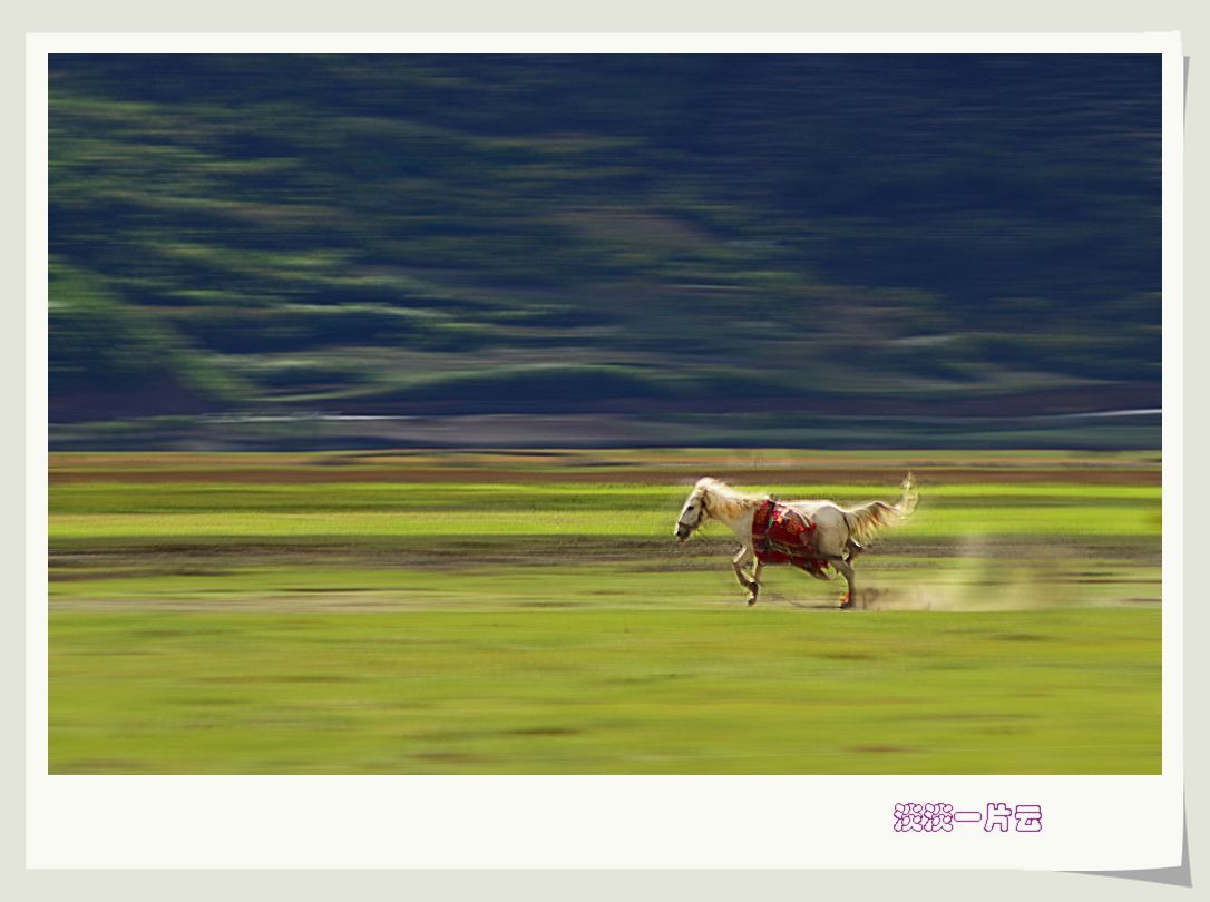 neo_img_dsc_8341.jpg